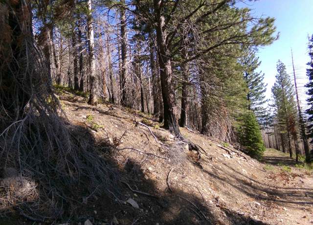 Property at XOX 43n33, Weed, CA 96094