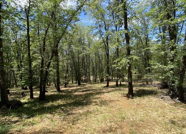 Property at 4-C-1 Columbine Rd, Weed, CA 96094