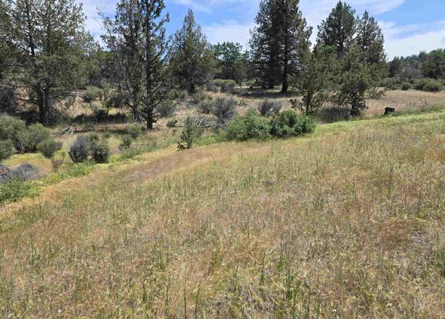 Property at lot 298 Eel Dr, Hornbrook, CA 96064