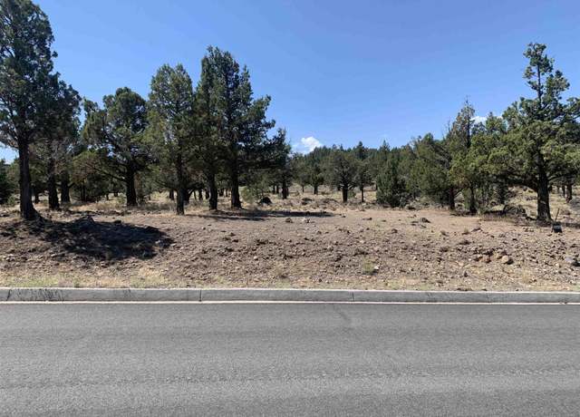 Property at Lot 263 Mountain Wood Dr, Weed, CA 96094