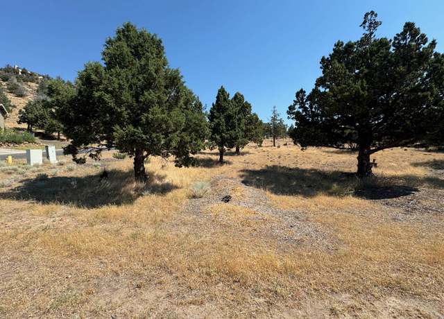 Property at 9-2 Lot 96 Shoreline Dr, Weed, CA 96094
