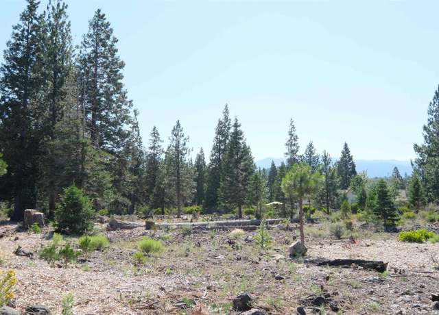 Property at Lot 52 Hidden Meadow Dr, Weed, CA 96094