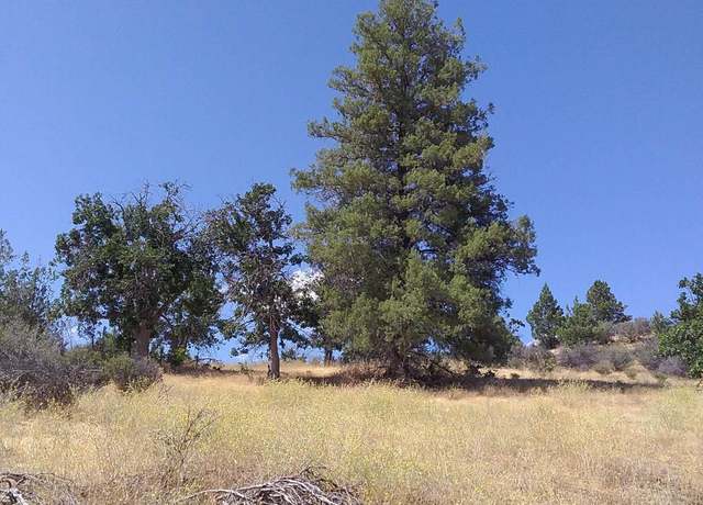 Property at Lot 708 unit 4 Clark, Hornbrook, CA 96044