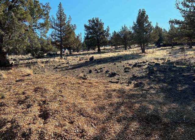 Property at 5-2 Lot 115 Antler Way, Weed, CA 96094
