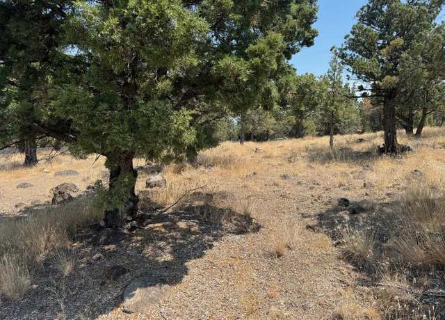 Property at Unit 3 Lot 157 Dwinnell, Weed, CA 96094