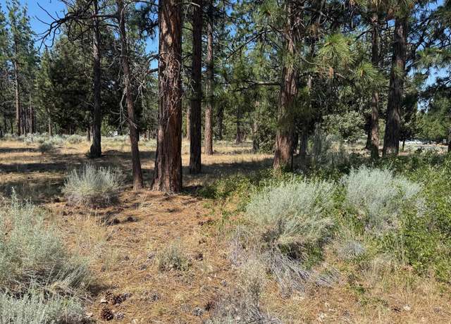 Property at Lots 186/187 Hogan Dr, Weed, CA 96094