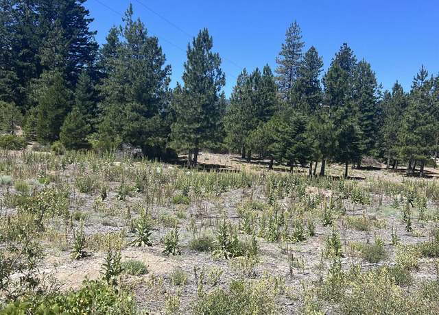 Property at 00 Truck Village Rd, Mt Shasta, CA 96067