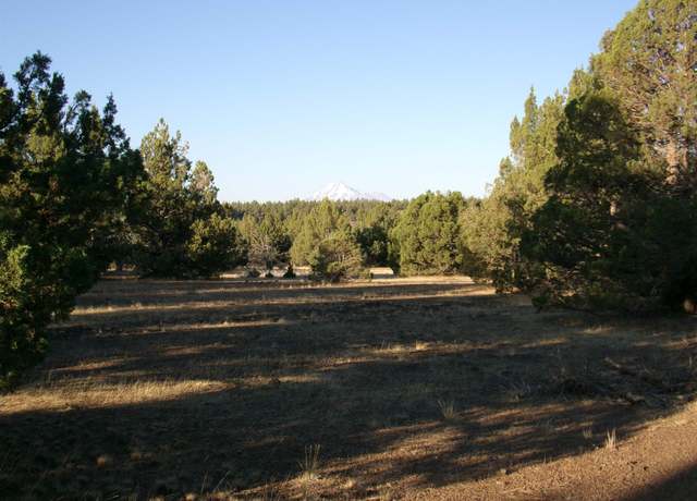 Property at XYZ E Davis Rd, Macdoel, CA 96058