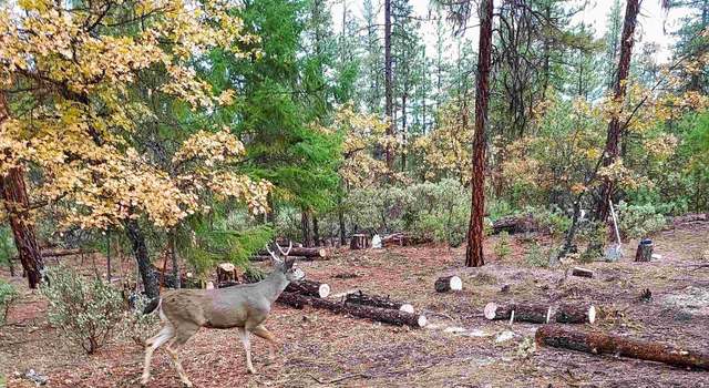 Photo of 6519 Mill Creek Rd, Fort Jones, CA 96032