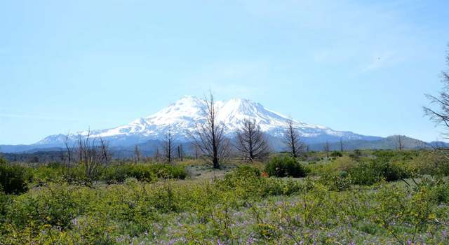 Photo of 20 Acres Lot 46 Juniper Valley Cir, Weed, CA 96094
