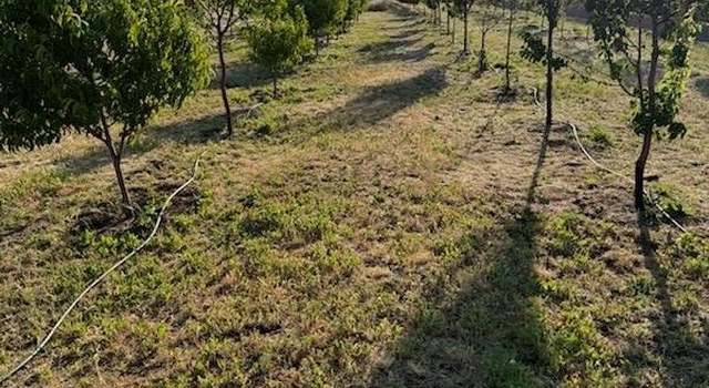 Photo of 1821 Lichens Rd, Montague, CA 96064