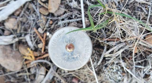 Photo of Unit 3 Lot 141 Lake Shore Dr, Weed, CA 96094