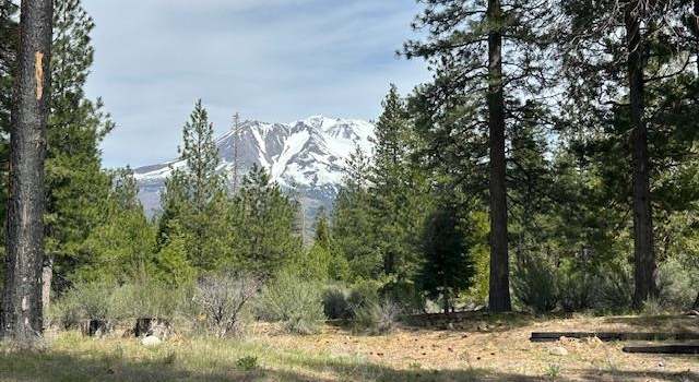 Photo of 2324 Black Butte Dr, Weed, CA 96094