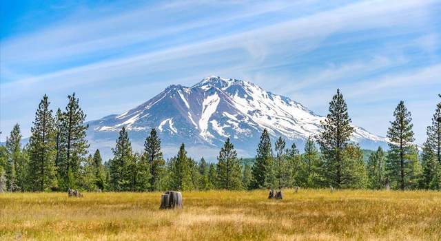 Photo of 000 Eddy Creek Rd, Weed, CA 96094