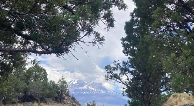 Photo of Lot 242 Eagle Rest Ct, Weed, CA 96094