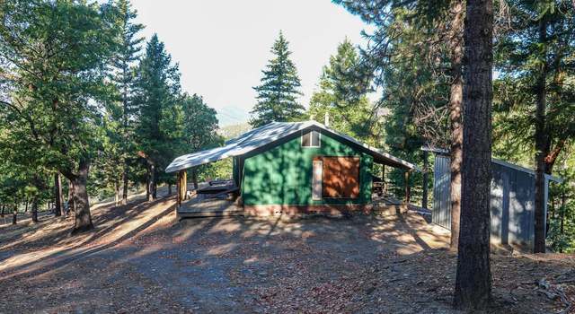 Photo of 4020 Cherry Maple Rd, Horse Creek, CA 96050