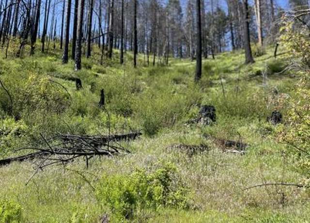 Property at 3351 FS Road 34n07y, Hobo Gulch, CA 96048