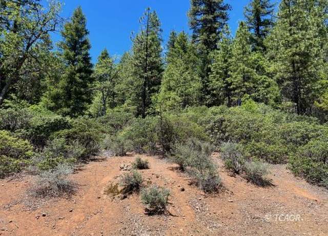 Property at 850 Chrome Mine Rd, Hayfork, CA 96041