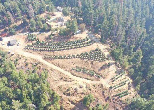 Property at 501 & 650 Bonnie, Weaverville, CA 96093, 1 bed, 1 bath