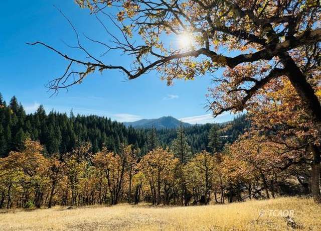 Property at 85 Devils Gulch Rd, Hayfork, CA 96041