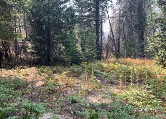 Property at East County Line, Lewiston, CA 96052