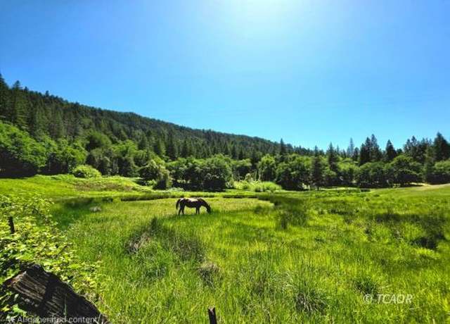 Property at 19647 Hyampom Rd, Hyampom, CA 96046, 3 beds, 2 baths