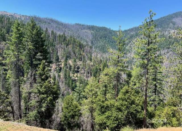 Property at 000 Hayfork Smt, Junction City, CA 96048