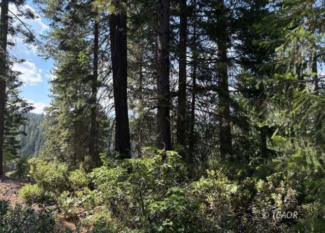 Property at Castle Lake Rd, Shasta Lake, CA 96067