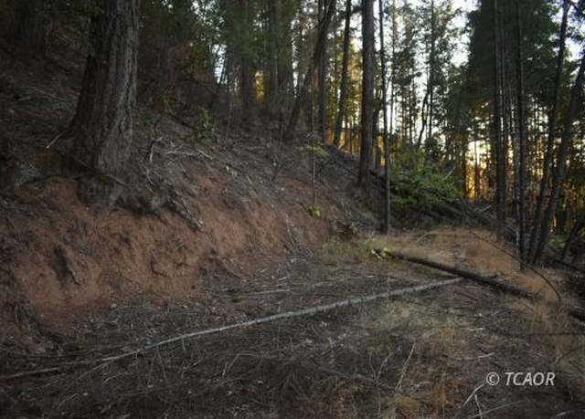 Property at 401 Vitzthum Gulch Rd, Douglas City, CA 96024