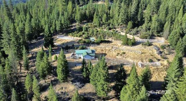 Photo of 8640 Rattlesnake Rd, Trinity Pines, CA 96041