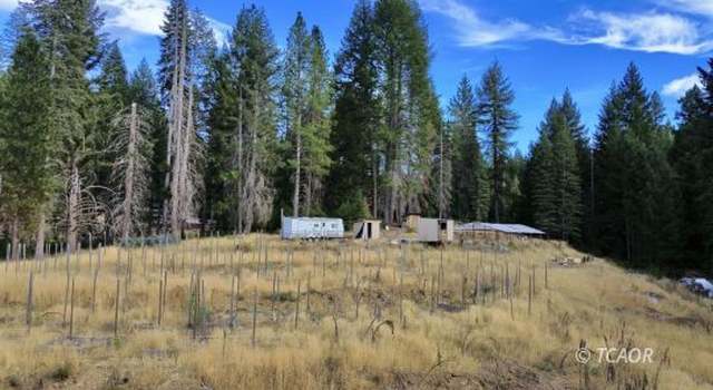 Photo of 480 Cannonball, Platina, CA 96076