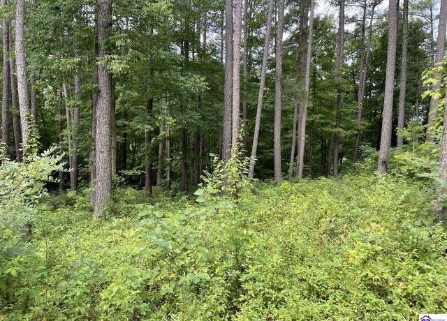 Property at lot 13 Marina Point Ln, Falls Of Rough, KY 40119