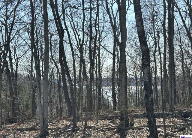 Property at 0 Pikes Ridge Rd, Columbia, KY 42728