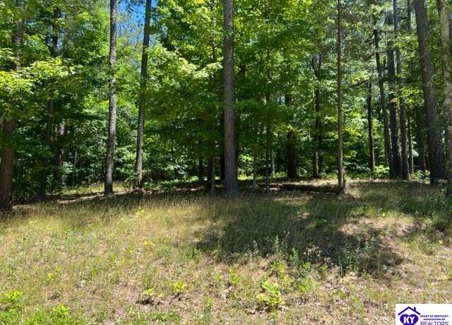 Property at 309 Marina Point Ln, Falls Of Rough, KY 40119