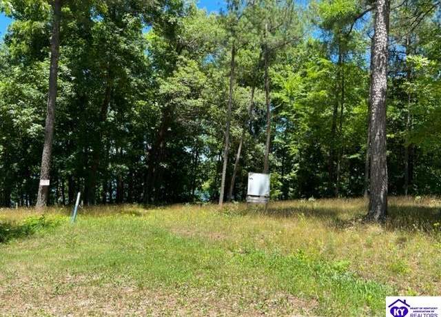 Property at 354 Marina Point Ln, Falls Of Rough, KY 40119