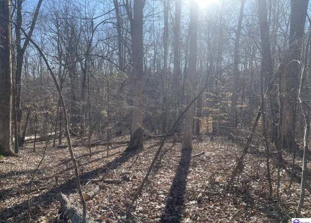 Property at 1848 Levelwoods Rd, Buffalo, KY 42716