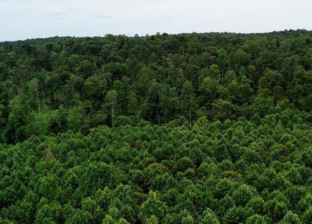 Property at Tract 7 Cook Ln, Cromwell, KY 42333
