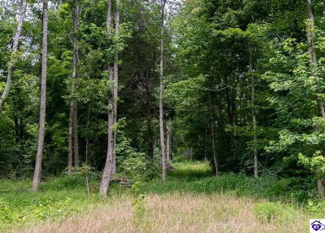 Property at Tract 10 Cook Ln, Cromwell, KY 42333