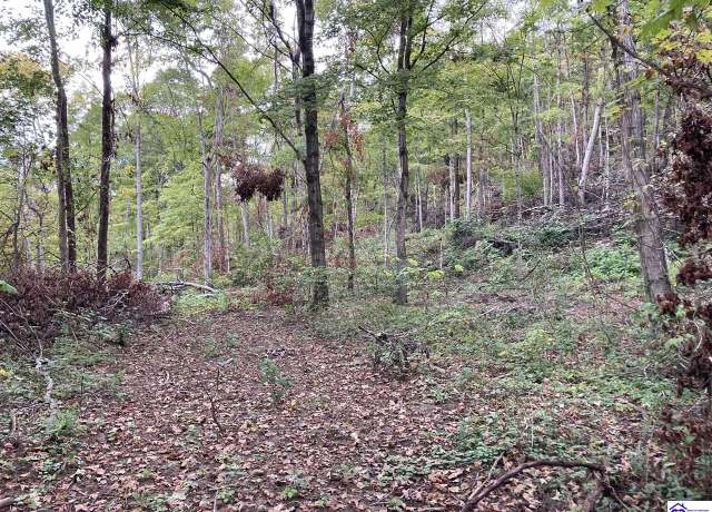 Property at 1633 Boone Hollow Rd, Battletown, KY 40104