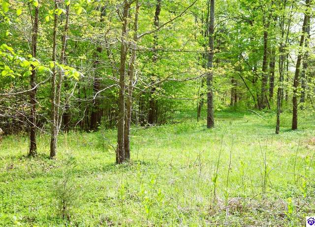 Property at 10051 Hammonsville Rd, Bonnieville, KY 42713