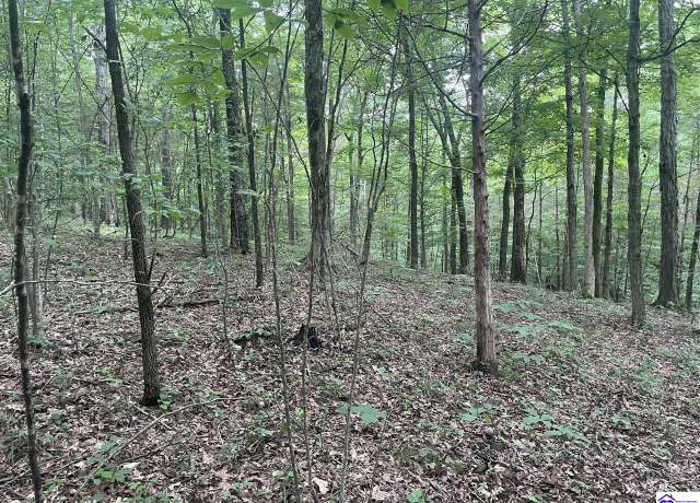 Property at 0 Barton Ferry Rd, Caneyville, KY 42721