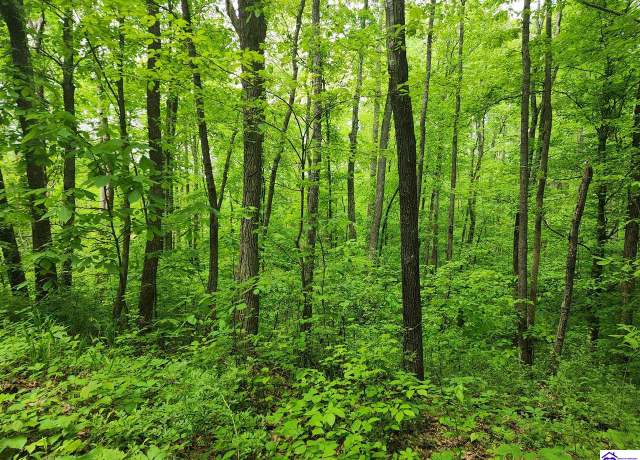 Property at Tract 1 E G Nash Rd, Roundhill, KY 42721