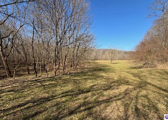 Property at 1087 Basham Allen Ln, Harned, KY 40144
