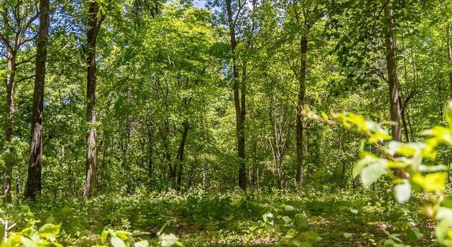 Photo of Tract 2 1755 Friendship Church Rd, Munfordville, KY 42765
