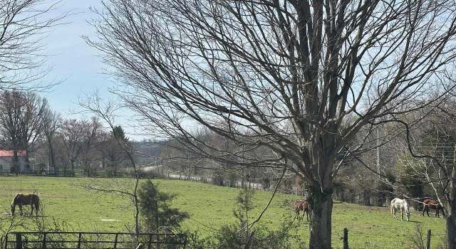 Photo of 14252 S Dixie Hwy, Upton, KY 42784