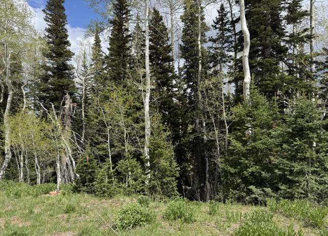 Property at 695 W Hunter Ridge Rd, Brian Head, UT 84719