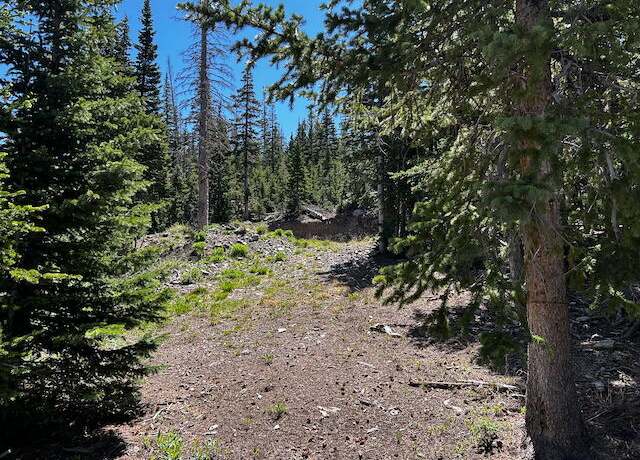 Property at 115 S Olympic Dr, Brian Head, UT 84719