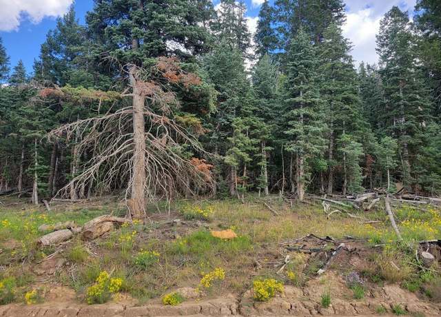 Property at Lot 9 Sandy Ridge Rd, Duck Creek, UT 84762