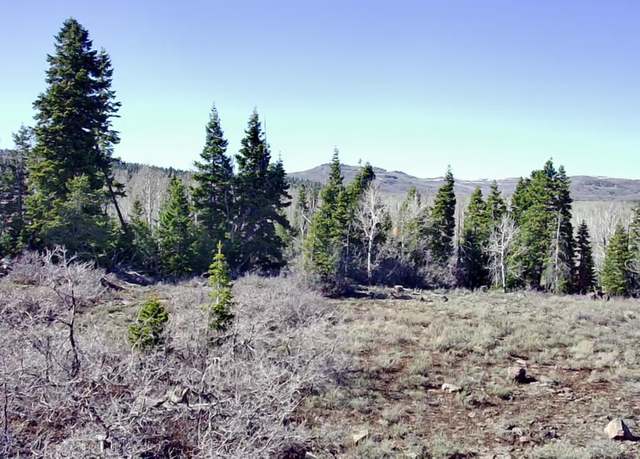 Property at 216 W Maple Cir Cir, Kolob, UT 84767