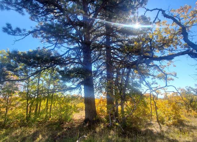 Property at 233 N Spring Rd, Kolob, UT 84767